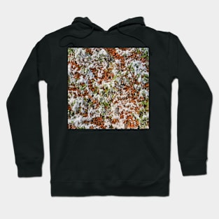 Background of foliage with snow Hoodie